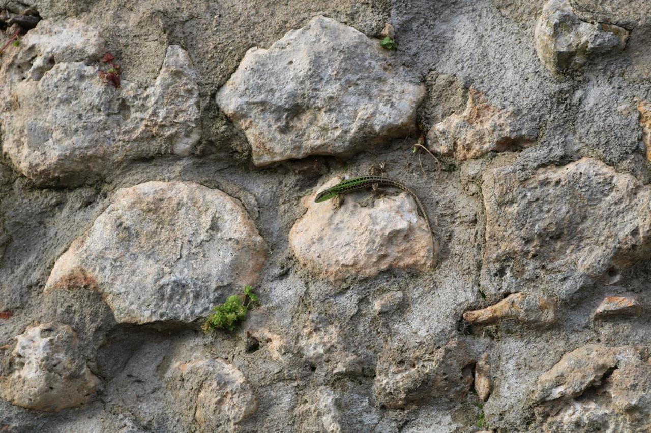 Affittacamere IL Fienile nella Roccia Casole dʼElsa Esterno foto